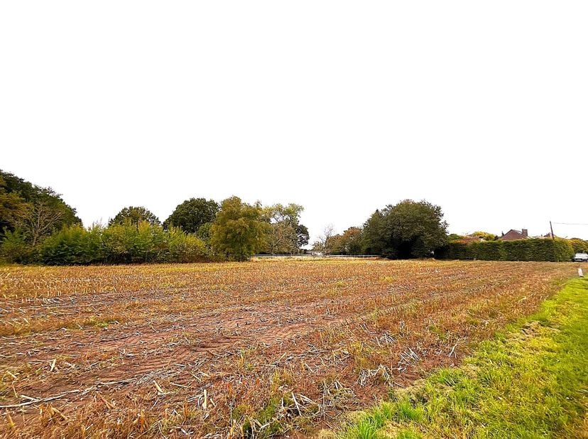 Terrain à vendre
                    à 2440 Geel