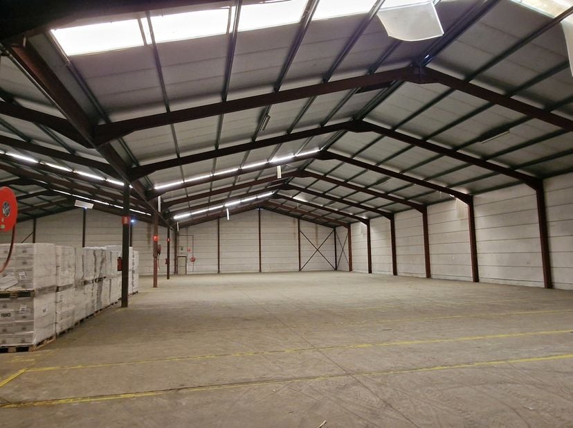Bien professionnel à louer à Havenlaan 18,
                    3980 Tessenderlo