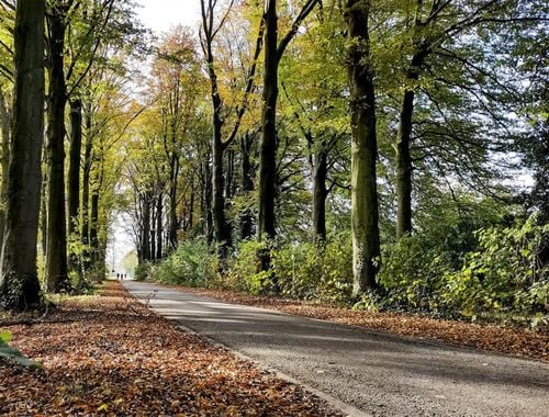                             Uitzonderlijke woning te koop in Aartselaar
