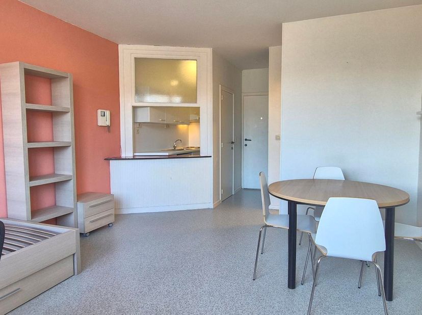 Op zoek naar een ruime en rustig gelegen studio in Leuven? Deze goed ingerichte studio combineert comfort en functionaliteit op een rustige locatie.<b