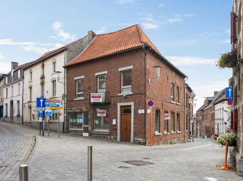 Bien professionnel à vendre à ,
                    3840 Borgloon