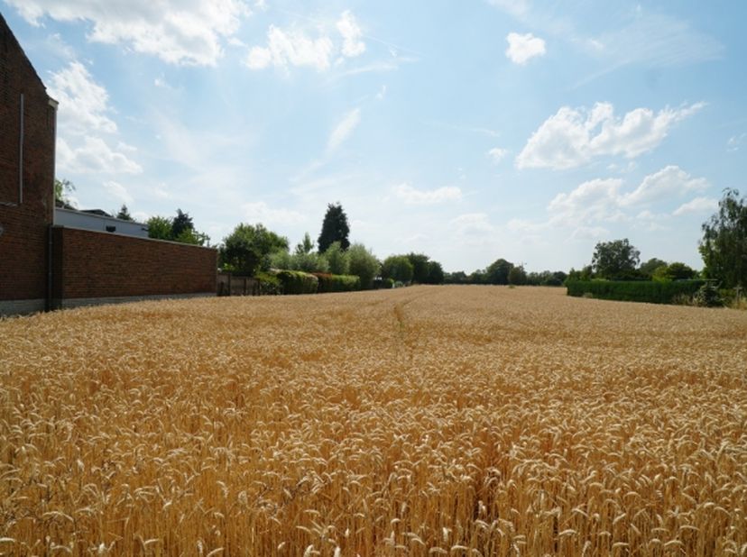 Rustig gelegen perceel bouwgrond van 7 are 40 ca voor half-open-bebouwing.&amp;nbsp;<br />
Zuid-west georiënteerd.<br />
Perceelbreedte circa 17m50 vooraa