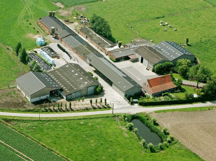 Huis te koop in Nieuwstraat 8,
                    8647 Reninge