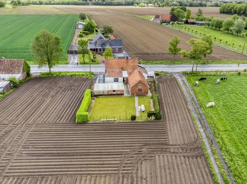 Dit alleenstaand huis te koop is ideaal gelegen met een vlotte verbinding naar Abele en het centrum van Poperinge. Het perceel van 600 m² biedt ruimte