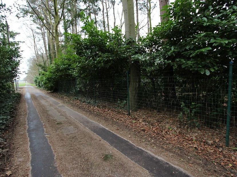 Zéér rustig gelegen perceel grond met een oppervlakte van 2040 m². Dit volledig te renoveren vakantieverblijf is gelegen in de Lange dreef 6 te Jabbek