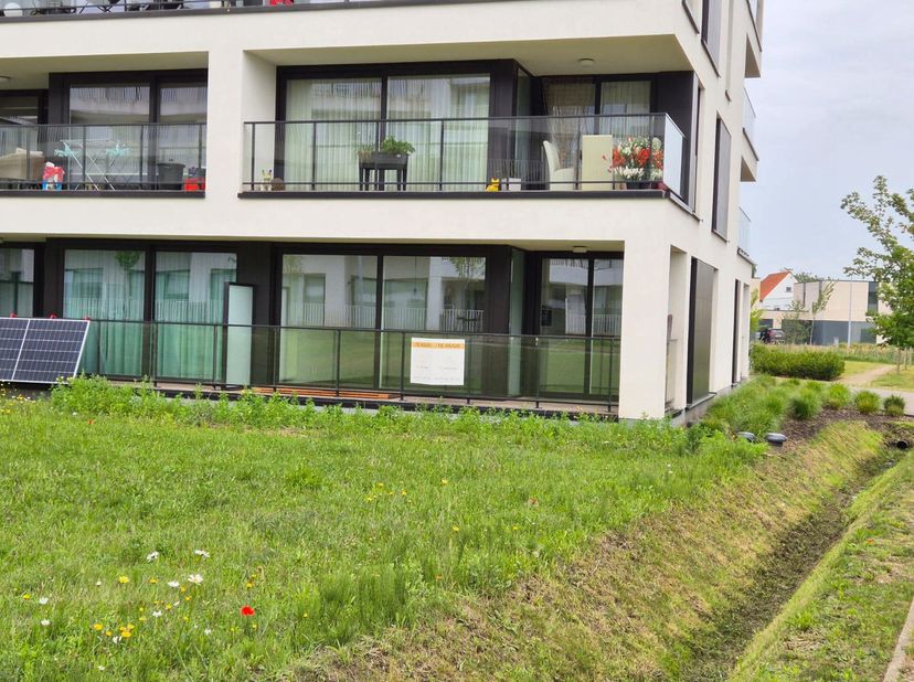 Appartement à louer
                    à 9880 Aalter