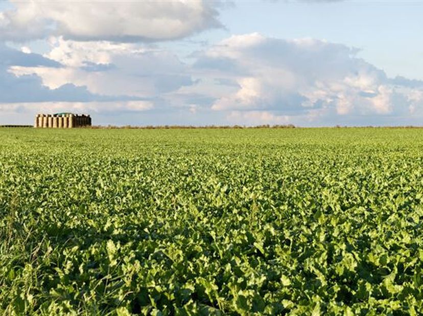 Au coeur du Brabant Wallon, superbe erre de culture de presque 16 ha, de relief en légère pente, sise à route asphaltée, de bonne qualité.&lt;br /&gt;
Lense