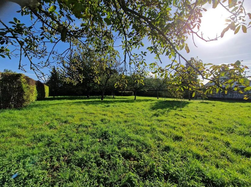 Terrain à vendre
                    à 8540 Deerlijk
