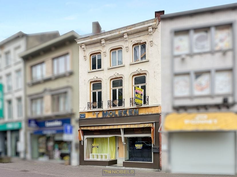 Bien professionnel à vendre
                    à 9620 Zottegem