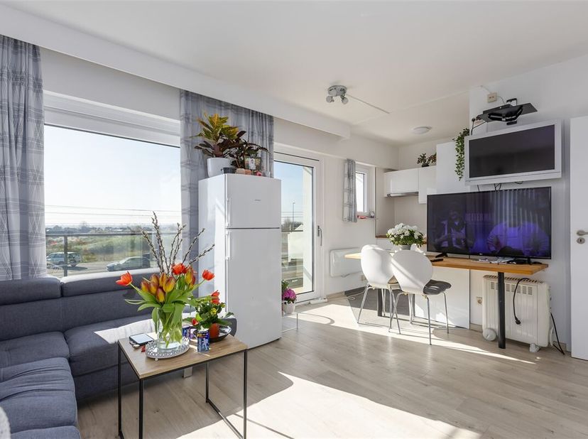 Instapklaar, gerenoveerd en gemeubeld appartement met zijdelings zeezicht en open zicht op beschermd duinengebied.  Indeling : inkomhal, apart toilet,