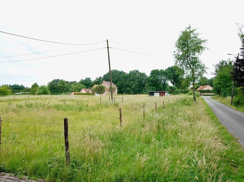 Terrain à vendre
                    à 3581 Beverlo
