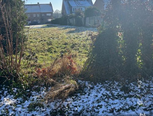                                         Terrain à bâtir à vendre à Ranst, € 162.500
