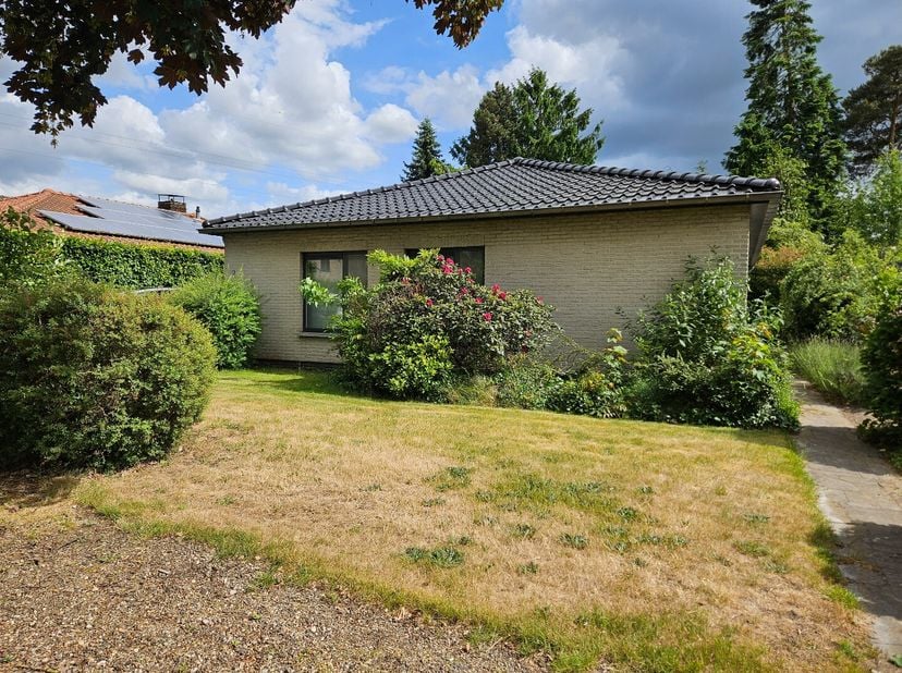 Maison à louer
                    à 2400 Mol