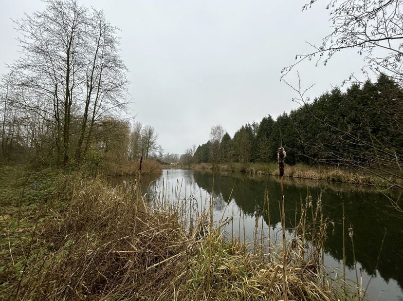 Terrain à vendre
                    à 2440 Geel