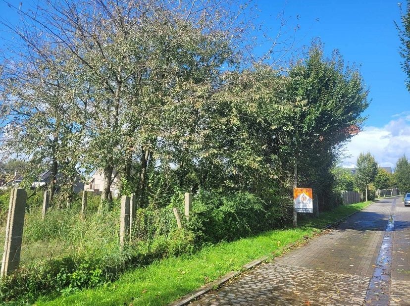 Op zoek naar een bouwgrond voor halfopen bebouwing te Haaltert? Kom dan zeker eens deze eigendom ontdekken. Straatbreedte van 13,45m!!&lt;br /&gt;
Bouwbreed
