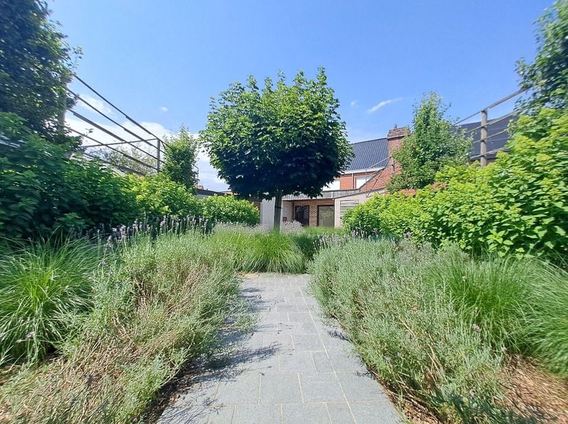 Maison à louer
                    à 8540 Deerlijk