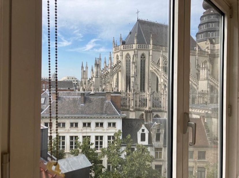 Appartement à vendre
                    à 2000 Antwerpen