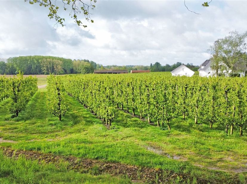 Terrain à vendre
                    à 3500 Hasselt