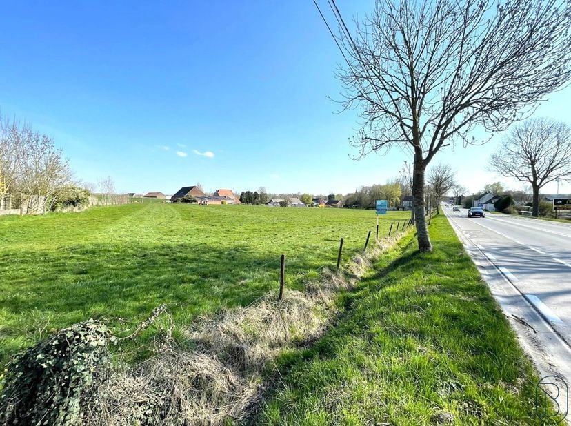 GOEDGELEGEN PROJECTGROND (1ha47a60ca) te Ghislenghien (ATH). VEEL POTENTIEEL, mogelijk te verkavelen. STRAATBREEDTE 175m! Geeft uit in 2 straten. Geen