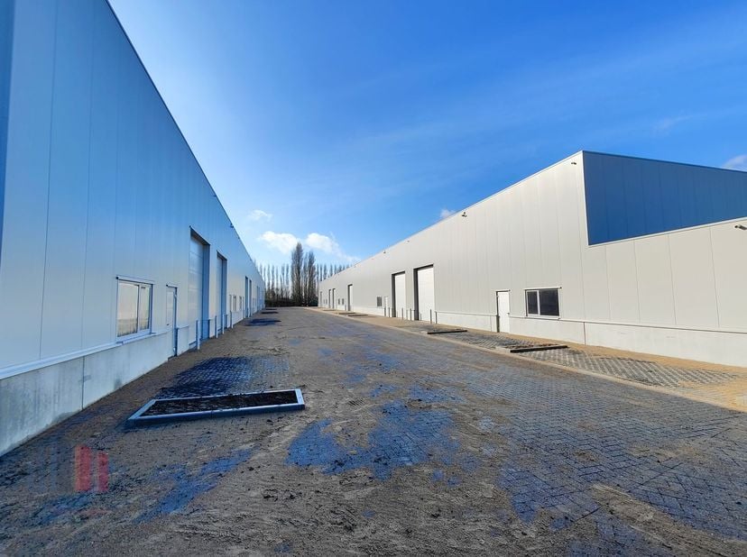 De casco loods van 220 m² heeft een vrije hoogte van 6 m en is opgebouwd uit een staalstructuur met betonplint in combinatie met geïsoleerde sandwichp