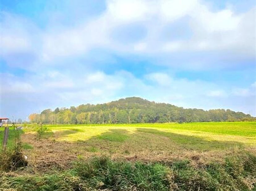 À Vendre : Terrain à bâtir  Rue du Quesoy, 7040 Genly&lt;br /&gt;
Découvrez ce magnifique terrain de 10 ares 02 centiares, idéalement situé dans un environn