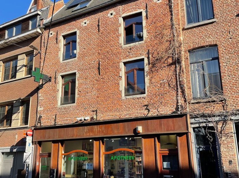 Deze ruime studio van ca. 45m2 is gelegen op de tweede verdieping van een kleinschalig gebouw, in de gezellige Parijsstraat in het centrum van Leuven.