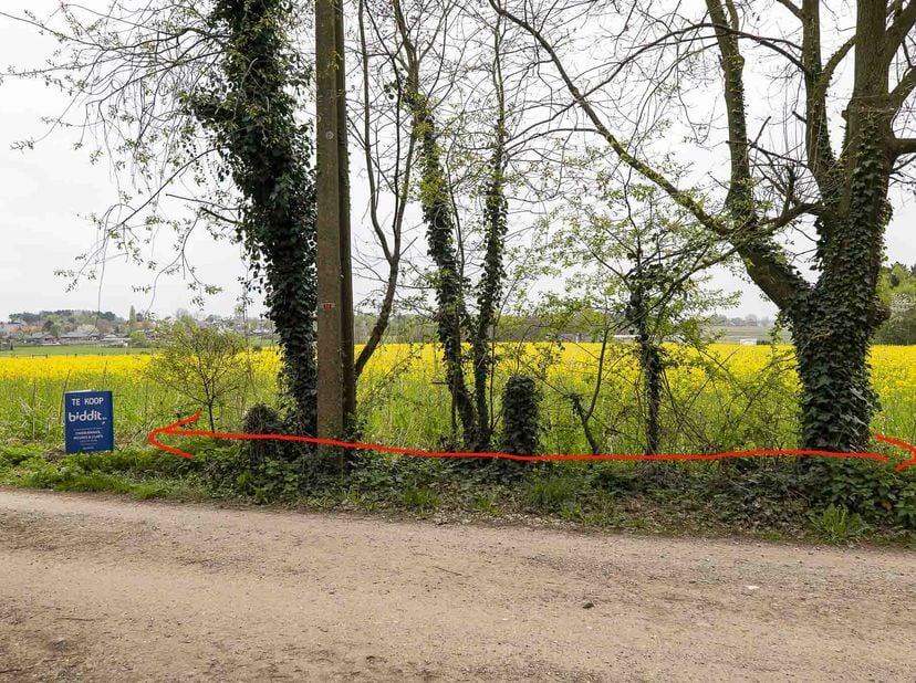 PERCEEL LANDBOUWGROND &lt;br /&gt;
 &lt;br /&gt;
Een perceel landbouwgrond gelegen aan de Veugelberg te Bekkevoort. Kadastraal gekend onder nummer 0118BP0000, met