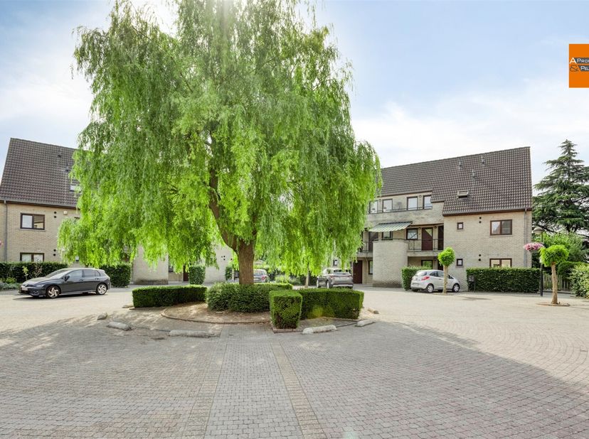 Lichtrijk gelijkvloers appartement met grote privé tuin.&lt;br /&gt;
In het rustige woonerf Dorsershof, op een doodlopende straat, vindt u dit instapklare g