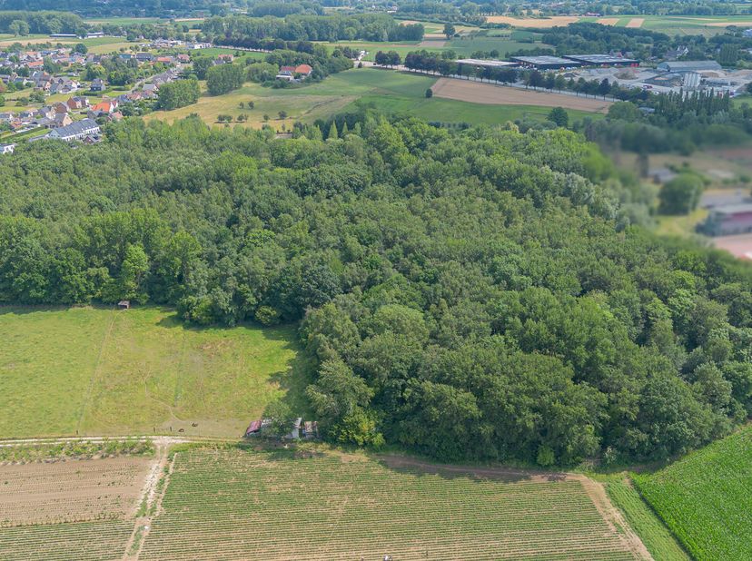 OORDEGEM - BOS NABIJ HET PUTBOSSTADION&lt;br /&gt;
Dit bos is toegankelijk via de Pontweg of Benedenstraat.&lt;br /&gt;
Dit terrein bestaat uit een gevarieerde be