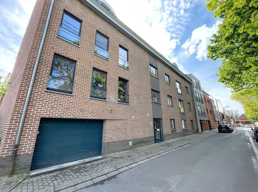 Bel appartement une chambre en rez-de-chaussée&lt;br /&gt;
Composition : Hall d&#039;entrée, séjour de 25m², cuisine comprenant four, taques, hottes, évier et ra