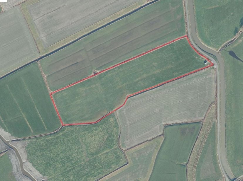 Weide gelegen aan de Vaartstraat Zuienkerke&lt;br /&gt;
Verpacht, opzegbaar door landbouwer&lt;br /&gt;
Historisch permanent grasland&lt;br /&gt;
 