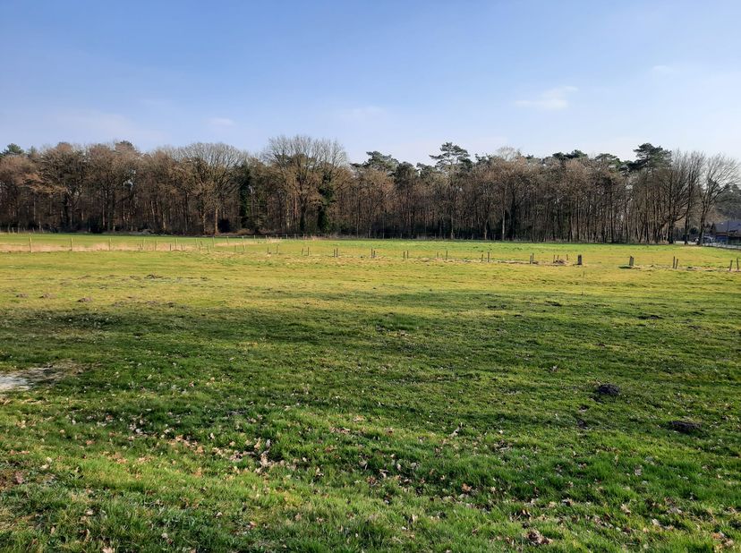 Terrain à vendre
                    à 3530 Helchteren