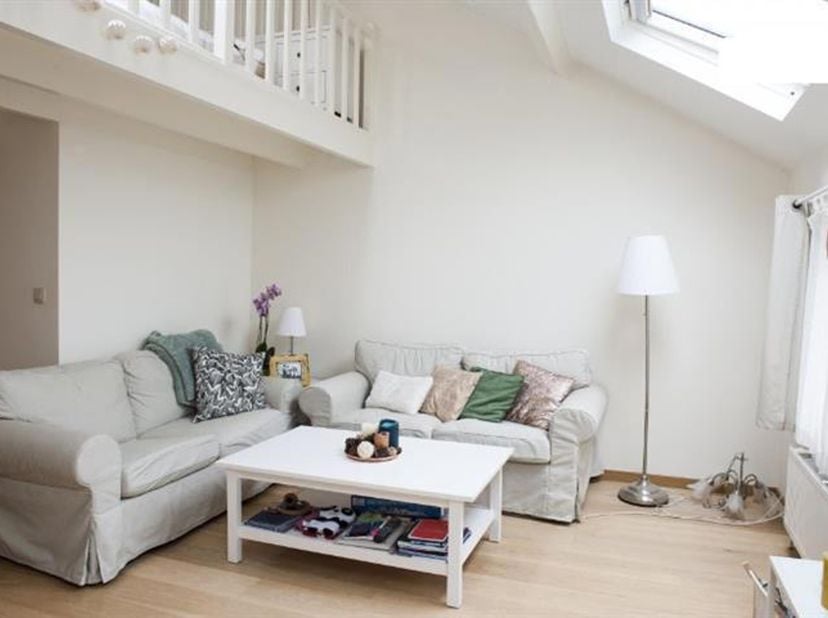 Ixelles: Dans le quartier Flagey -  Etangs d&#039;Ixelles des commerces et transports, charmant Appartement en Duplex Meublé et entièrement rénové situé au