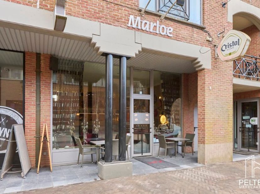 Bien professionnel à vendre
                    à 3900 Overpelt