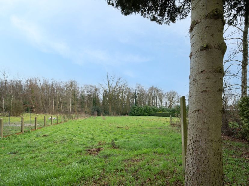 Terrain à vendre
                    à 9100 Sint-Niklaas