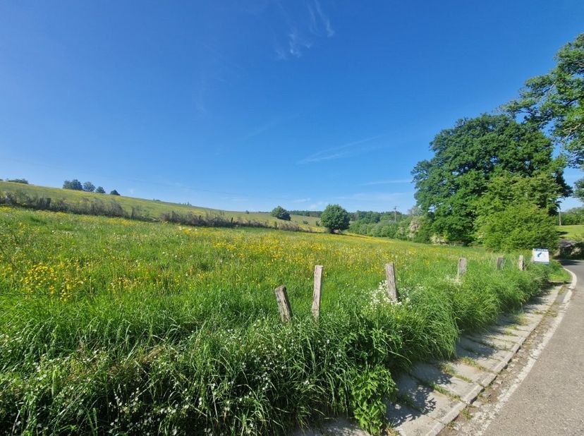 Zeer mooi gelegen bouwgrond met een totale oppervlakte van +- 40 are, in een rustig dorpje in het hart van de Semois-Vallei.&lt;br /&gt;
&lt;br /&gt;
Breedte perc