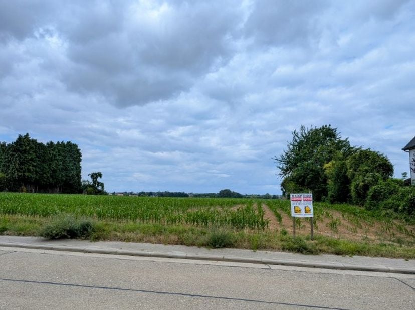 Terrain à vendre
                    à 3401 Walshoutem