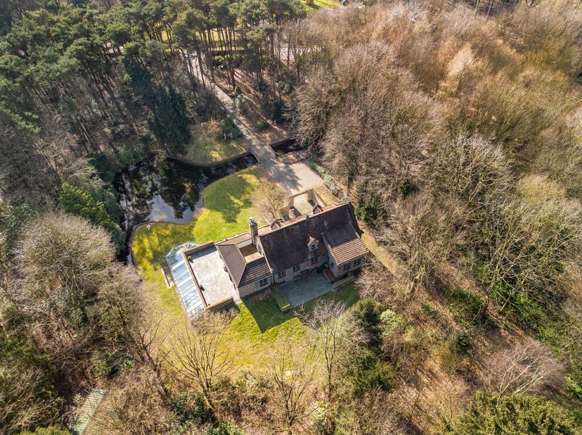 Deze exclusieve villa, gelegen op een zuidgeoriënteerd perceel van ca. 8.700 m² in Hertsberge, biedt 495 m² woonoppervlakte en combineert rust, privac