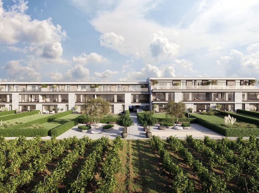 Appartement te koop
                    in 9660 Nederbrakel