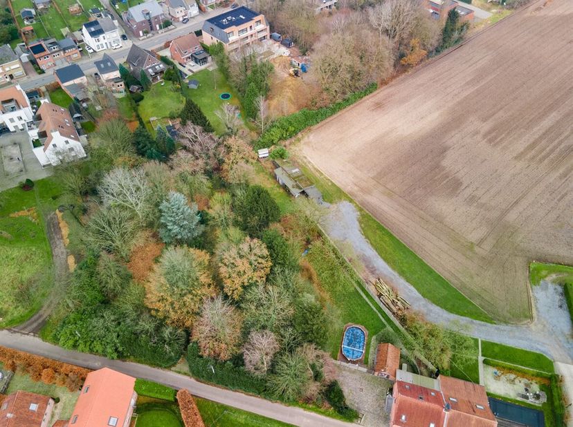 Terrain à vendre
                    à 2520 Oelegem