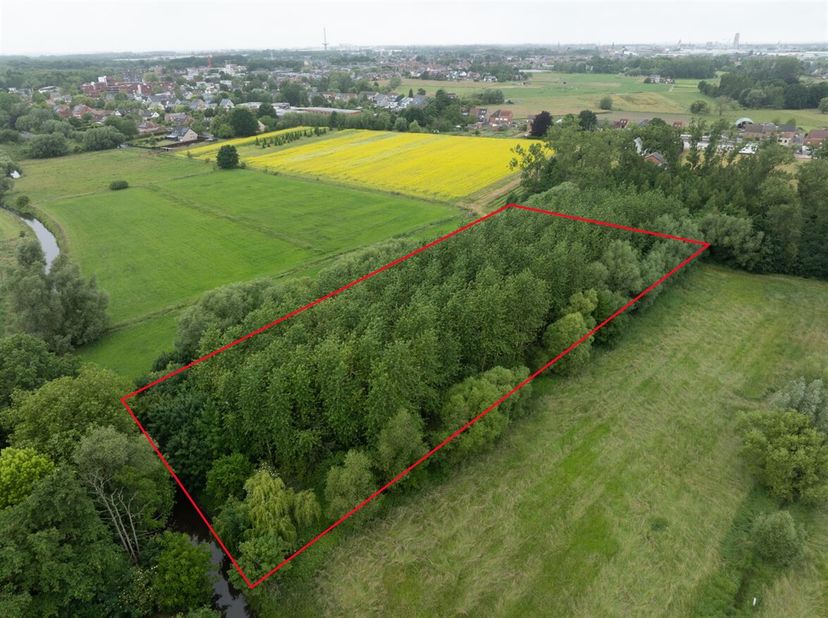 Bent u op zoek naar een stuk grond voor landbouw, dierenhouderij of een investering in open ruimte? Dan is dit prachtige perceel van 58 are 10 centiar