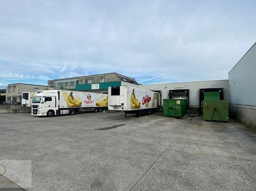 Cet entrepôt logistique est situé dans le parc d&#039;activités Veiling Zuid, près de la R6, avec un accès facile à l&#039;E19. &lt;br /&gt;
&lt;br /&gt;
L&#039;entrepôt bénéfic
