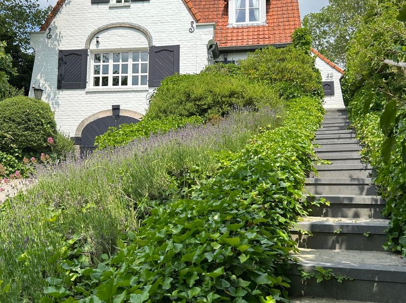 Op een prachtige locatie in de Duinenkranslaan in Sint-Idesbald, op slechts 800 meter vogelvlucht van het strand, staat villa Pimpernelle te koop. Dez
