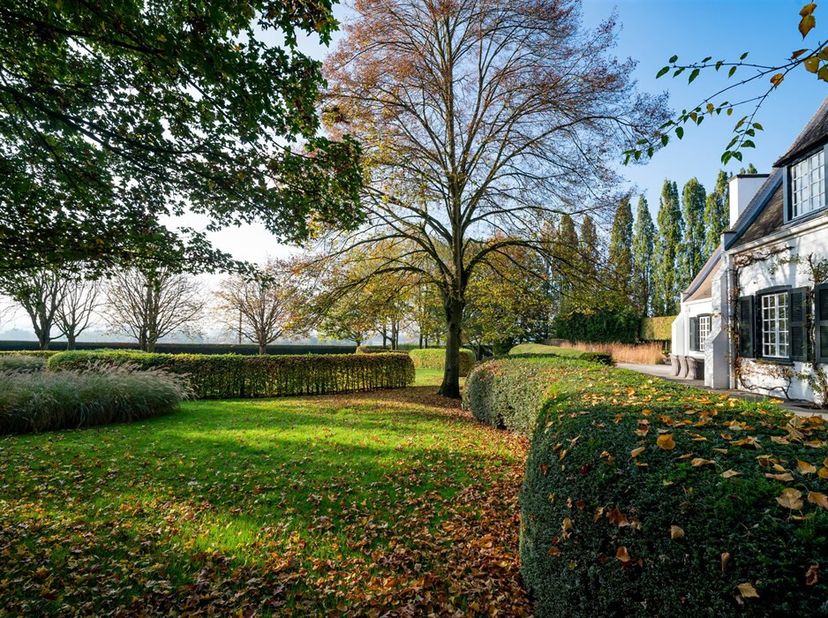 Aan Bellegem bos: Idyllisch eigendom op 7.630m² genesteld in een serene en exclusieve buurtomringd door eeuwenoude bomen met takken als beschermende v