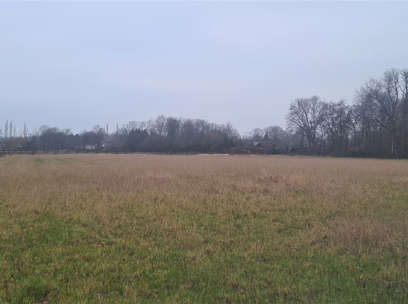 Perceel grond  van 10.951m² , in gebruik als landbouwgrond en volgens het gewestplan recreatiegrond voor verblijfsrecreatie te Schriek op de grens met