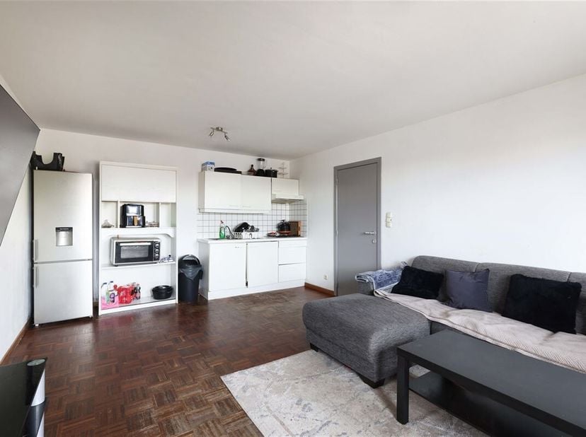 Rustig en centraal gelegen appartement met 1 slaapkamer aan het groene Heilig Hartplein&lt;br /&gt;
Omgeving:&lt;br /&gt;
+ Rustig en centraal gelegen aan het Hei