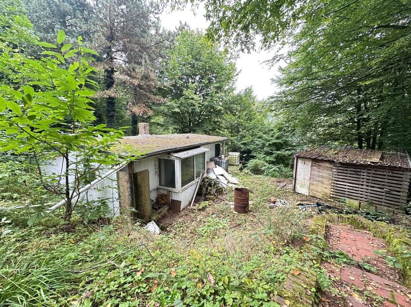 Deze vakantiewoning in Hoeselt (Schabos) is een unieke plek om te genieten van rust en natuur. Gelegen in een prachtige omgeving, biedt deze te renove