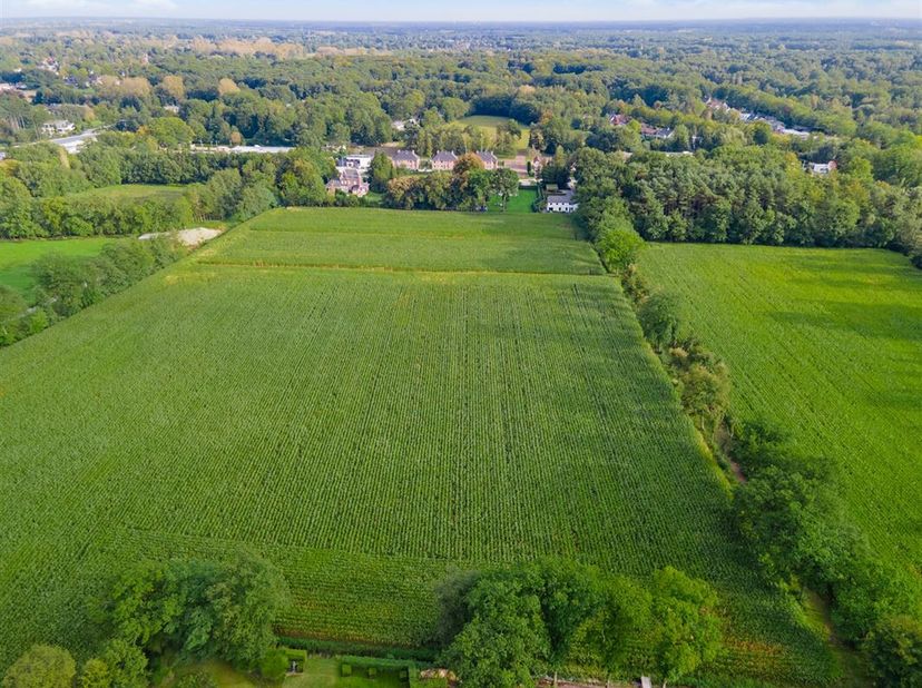 Terrain à vendre
                    à 2980 Zoersel