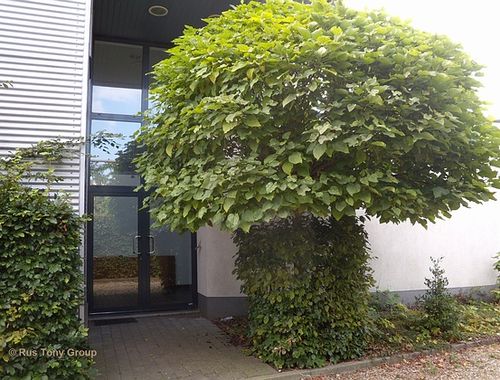                                         Gemengd gebruik te huur in Opglabbeek, € 2.850
