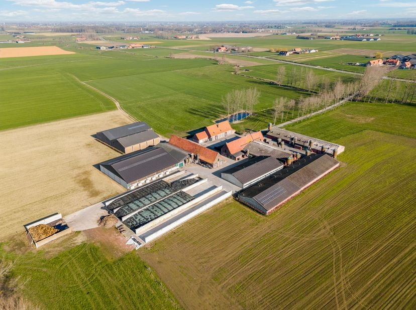 Dit aanbod betreft een actief gemengd landbouwbedrijf, goed gelegen te Vlamertinge, Ieper. Het landbouwbedrijf kent een zeugen-, vleesvarkens- en melk